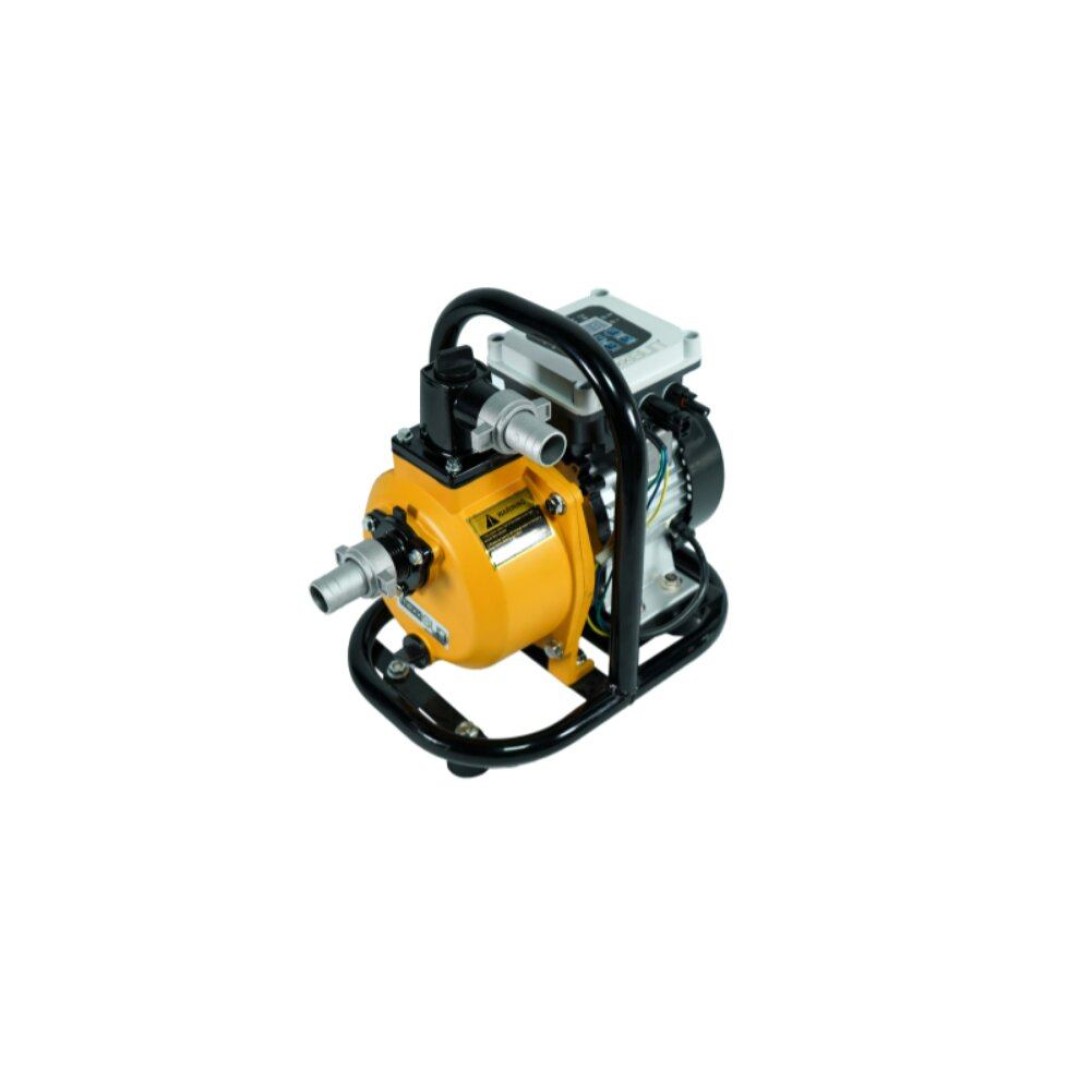 DC Yüzey Pompa 1Hp 750W DC Solar Yüzey Pompası