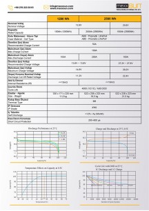 MEXXSUN Lityum Akü 12,8V 100Ah (LiFePo4) 1280Wh