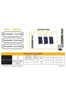 MEXXSUN DC Pompa 1.6Hp 1300W 110V (4DC6-112-110-1300)